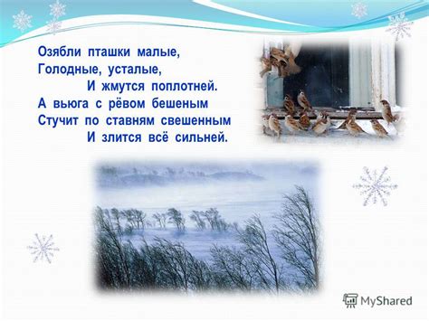 Какие метеорологические условия влияют на первый снег