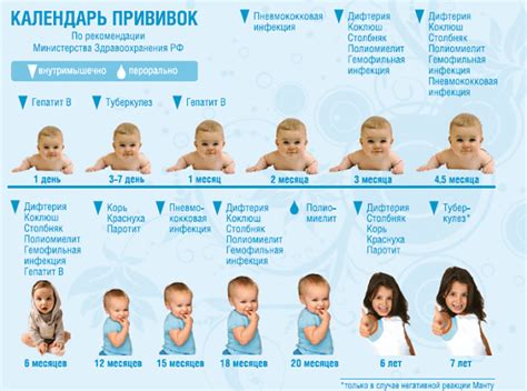 Какие прививки необходимы после укуса