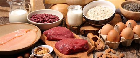 Какие продукты богаты белками и способствуют похудению