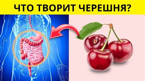 Какие риски связаны с употреблением кефира после тошноты