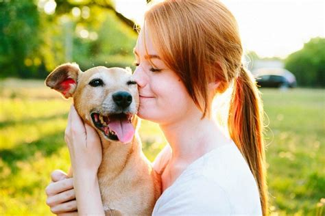 Какова природа перепонок у собак