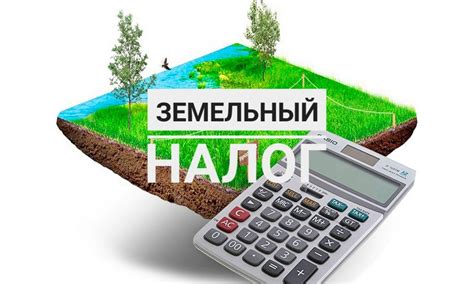 Каково предназначение земельного налога