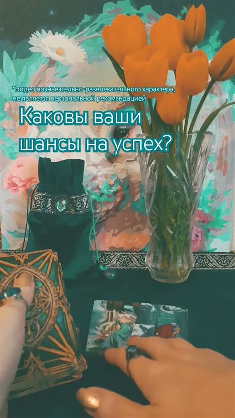 Каковы шансы на успех ходатайства