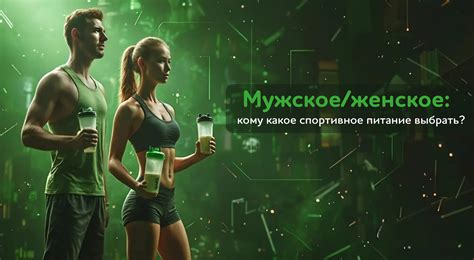 Какое питание выбрать после прогулки