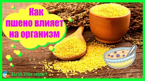 Какой эффект оказывает пшено на растущий организм ребенка
