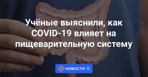 Как Леркамен влияет на пищеварительную систему