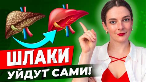 Как вода помогает вывести токсины из организма