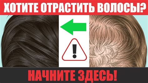 Как восстановить волосы: проверенные способы