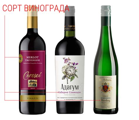 Как выбрать белое вино с нужным содержанием сахара