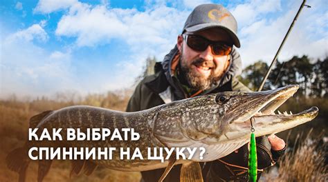 Как выбрать время для ловли щуки на спиннинг в сентябре