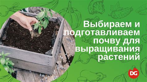 Как выбрать и подготовить почву