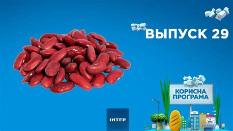 Как выбрать качественную фасоль