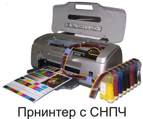 Как выбрать подходящий цветной принтер для печати справок
