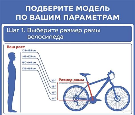 Как выбрать правильный велосипед после удаления простаты