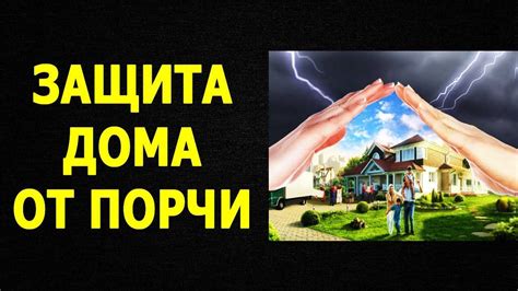 Как защитить свой дом от нападения кожеедов