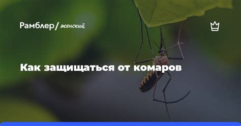 Как защищаться от комаров в период без их активности