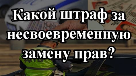 Как избежать наложения штрафа и соблюсти требования закона