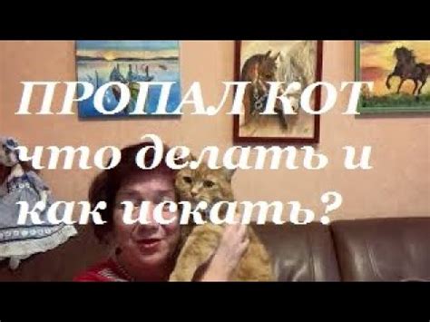 Как искать пропавшего кота