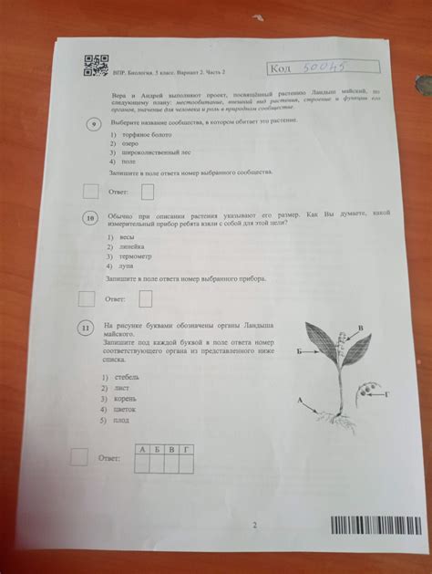 Как использовать ключ для определения размера личинки