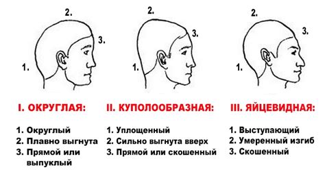 Как использовать признаки головы