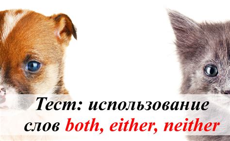 Как использовать слово "both" в английском языке