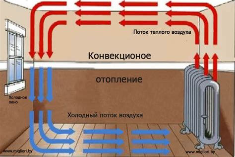 Как испытывается организм в условиях холодного воздуха