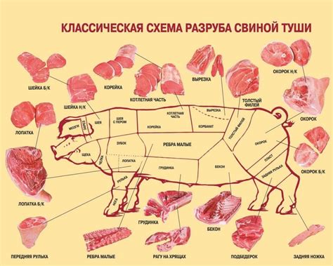 Как и когда покрывать свинью: сроки и особенности
