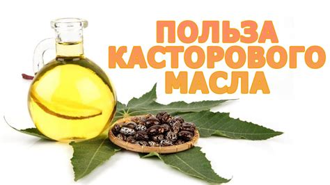 Как касторовое масло помогает справиться с запорами