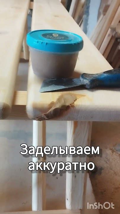 Как короед портит древесину во время дождя