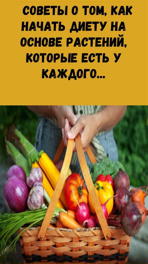 Как начать диету на основе рыбы