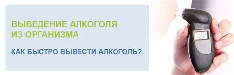 Как нейтрализовать алкоголь в организме