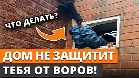 Как обезопасить свой дом от вторжения мышей