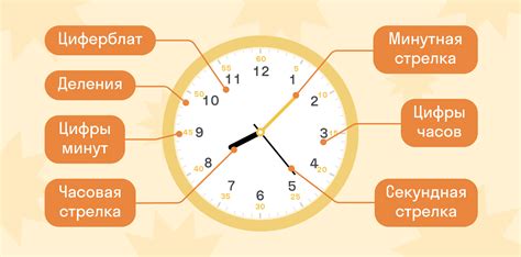 Как определить время для пересадки: