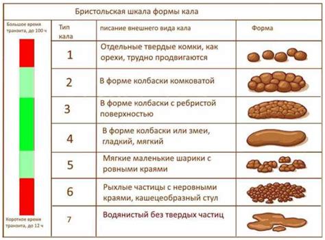 Как определить жидкий стул