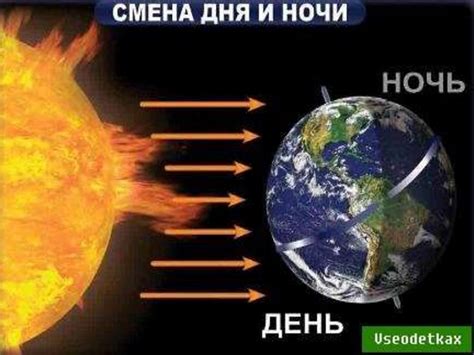 Как организм реагирует на смену дня и ночи