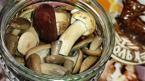Как перекладывать соленые грибы в банки: