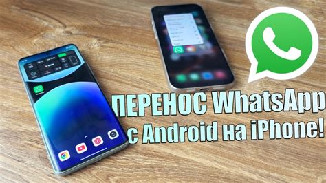 Как перенести WhatsApp на новый iPhone