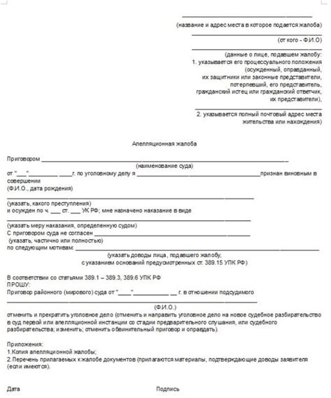 Как подать апелляцию после решения суда: