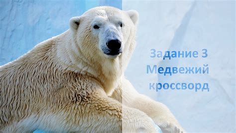 Как подготовиться к Дню белого медведя