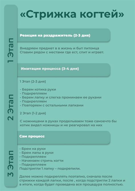 Как подготовиться к стрижке кота