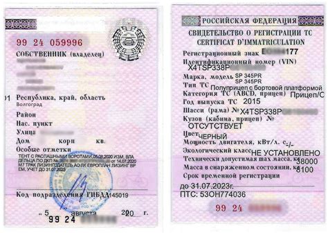 Как получить ПТС на спортинвентарь: условия и требования