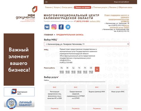 Как получить полюс в МФЦ: подробная инструкция