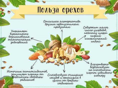 Как правильно давать орехи кешью собаке