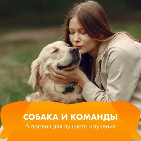 Как правильно давать свинину собаке
