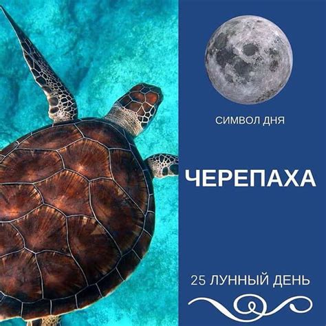 Как правильно интерпретировать сны в 25 лунный день