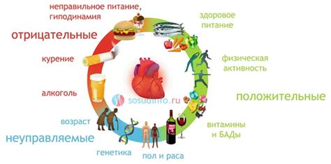 Как правильно использовать битые кружки без риска для здоровья