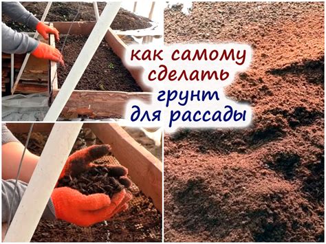 Как правильно приготовить новую почву для роз