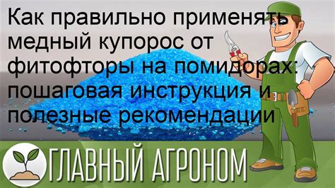 Как правильно применять медный купорос от тли