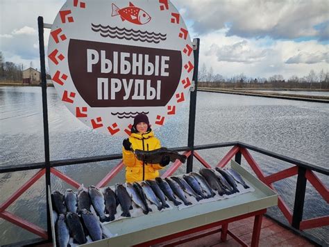 Как правильно собирать улов и сохранять его качество