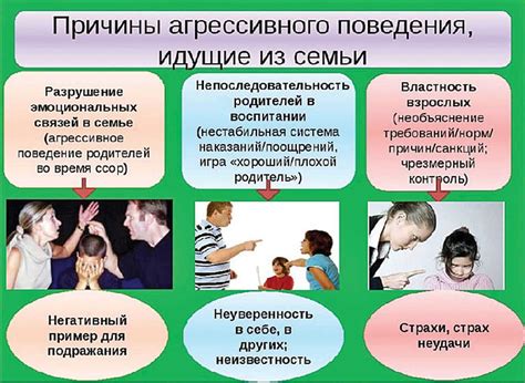 Как предотвратить агрессивное поведение
